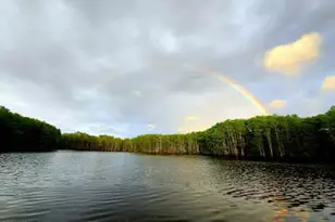 4651 Moss Hill Rd, Chipley, FL 32428 - Photo 31