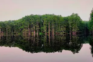 4651 Moss Hill Rd, Chipley, FL 32428 - Photo 25