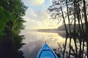 4651 Moss Hill Rd, Chipley, FL 32428 - Photo 27