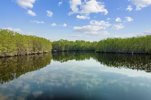 4651 Moss Hill Rd, Chipley, FL 32428 - Photo 21