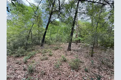 19678 Walsh Road, Fountain, FL 32438 - Photo 7