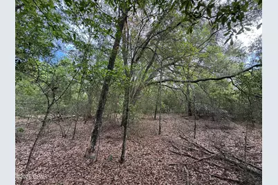 19678 Walsh Road, Fountain, FL 32438 - Photo 9