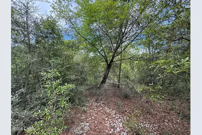 19678 Walsh Road, Fountain, FL 32438 - Photo 15