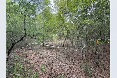 19678 Walsh Road, Fountain, FL 32438 - Photo 13