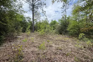 19678 Walsh Rd, Fountain, FL 32438 - Photo 1