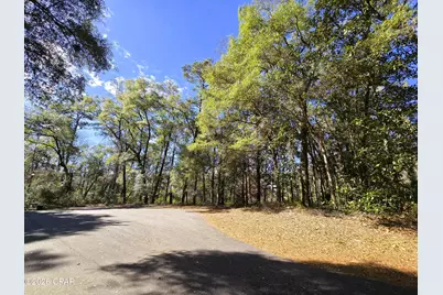 0 Yvonne Court, Havana, FL 32333 - Photo 9