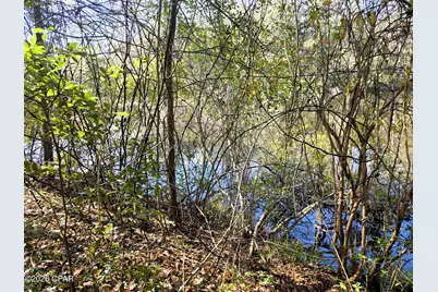 0 Yvonne Court, Havana, FL 32333 - Photo 7