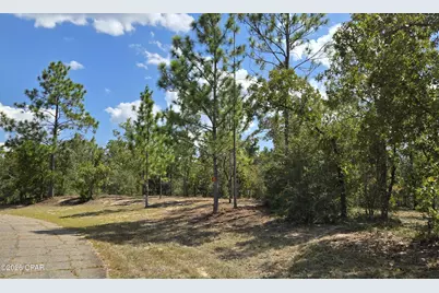 Lot 6 Trellis Drive, Chipley, FL 32428 - Photo 3