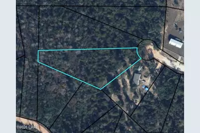 0 Sandoval Court, Alford, FL 32420 - Photo 3