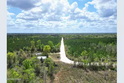30 Acres NW Melvin Road, Clarksville, FL 32430 - Photo 5