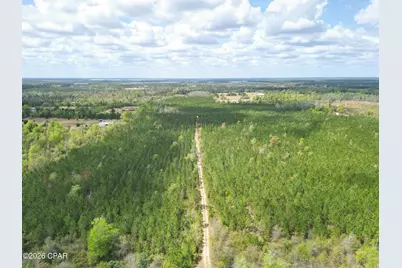 30 Acres NW Melvin Road, Clarksville, FL 32430 - Photo 3