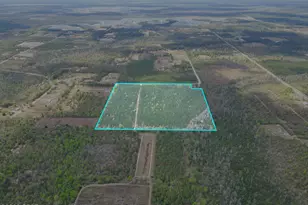 37 Acres NW Melvin Rd, Clarksville, FL 32430 - Photo 1