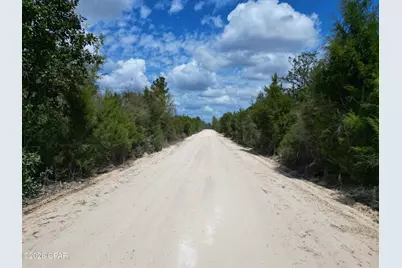 37 Acres NW Melvin Road, Clarksville, FL 32430 - Photo 7