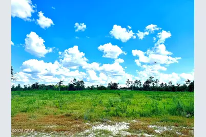 12810 Hwy 231, Youngstown, FL 32466 - Photo 3