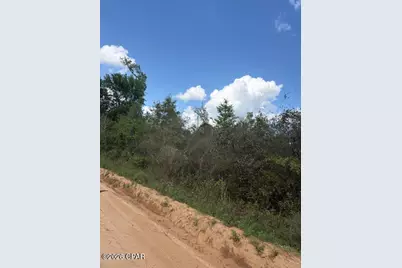 0 Iron Bridge Road, Marianna, FL 32448 - Photo 11