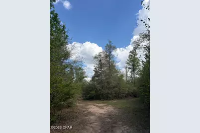 0 Iron Bridge Road, Marianna, FL 32448 - Photo 7