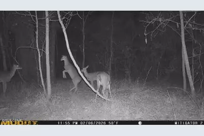 0 Iron Bridge Road, Marianna, FL 32448 - Photo 17