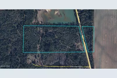 0 Iron Bridge Road, Marianna, FL 32448 - Photo 13