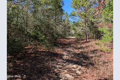 Tbd Willow Bend Drive #TBD, Defuniak Springs, FL 32433 - Photo 5