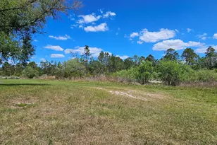 1890 Ocean Pond Dr, Perry, FL 32348 - Photo 7