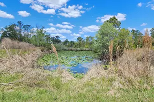 1890 Ocean Pond Dr, Perry, FL 32348 - Photo 13