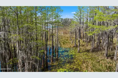 0 Cypress Lane, Chipley, FL 32428 - Photo 17