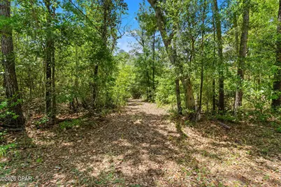 0 Cypress Lane, Chipley, FL 32428 - Photo 3