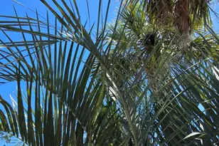 130 Gulf Terrace Ln, Port Saint Joe, FL 32456 - Photo 39