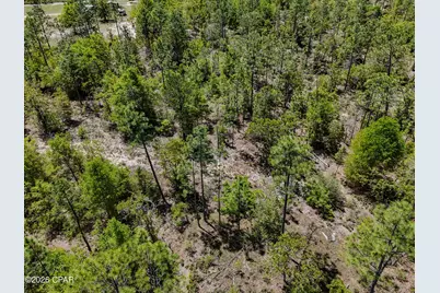 21937 Clarks Road, Fountain, FL 32438 - Photo 11