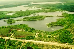 0000 Bent Oaks Rd, Chipley, FL 32428 - Photo 5