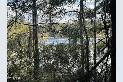 0000 Bent Oaks Road, Chipley, FL 32428 - Photo 9