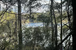 0000 Bent Oaks Rd, Chipley, FL 32428 - Photo 9