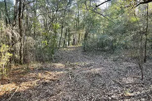 0000 Bent Oaks Rd, Chipley, FL 32428 - Photo 19