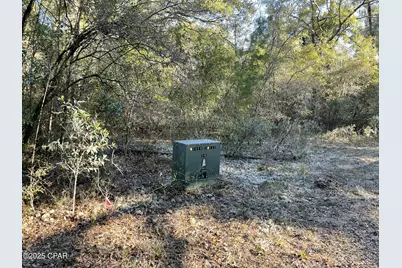 0000 Bent Oaks Road, Chipley, FL 32428 - Photo 3