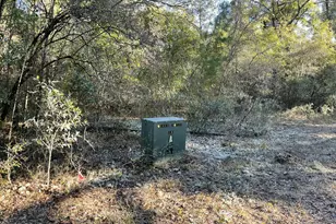 0000 Bent Oaks Rd, Chipley, FL 32428 - Photo 3