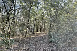 0000 Bent Oaks Rd, Chipley, FL 32428 - Photo 7