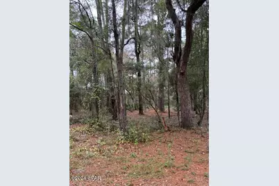 0000 Everest Drive, Chipley, FL 32428 - Photo 5