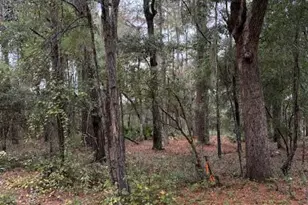 0000 Everest Dr, Chipley, FL 32428 - Photo 5