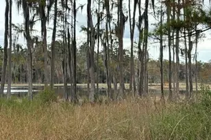 0000 Everest Dr, Chipley, FL 32428 - Photo 11