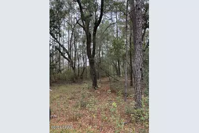 0000 Everest Drive, Chipley, FL 32428 - Photo 7