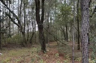 0000 Everest Dr, Chipley, FL 32428 - Photo 7