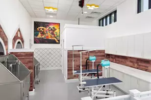 9334 Daydream Dr, Panama City Beach, FL 32413 - Photo 23