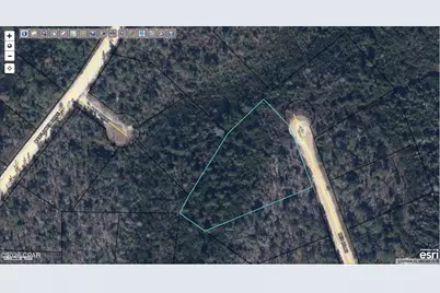 00 Red Road Lot 16, Marianna, FL 32448 - Photo 1