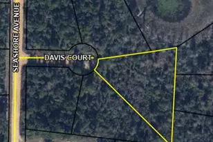 0000 Davis Ct, Alford, FL 32420 - Photo 1