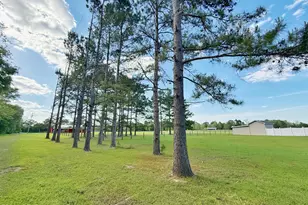 4151 Hwy 273, Graceville, FL 32440 - Photo 71