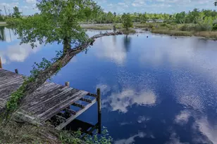 9900 Hwy 2301, Youngstown, FL 32466 - Photo 3