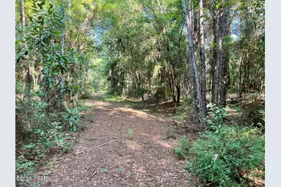 00 Broom Road, Bonifay, FL 32425 - Photo 7