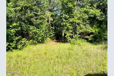 00 Broom Road, Bonifay, FL 32425 - Photo 9