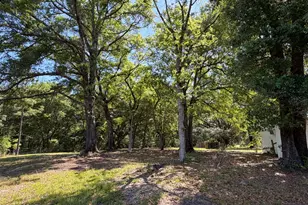 2839 Beall Packing Rd, Bonifay, FL 32425 - Photo 9