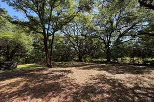 2839 Beall Packing Rd, Bonifay, FL 32425 - Photo 5